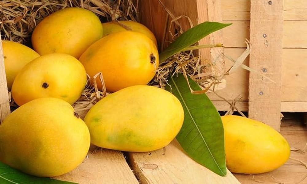 Best Pakistani Mangoes Online