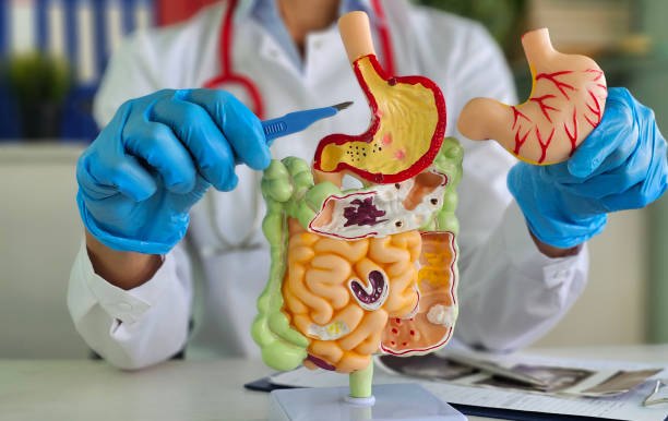 Bariatric Surgery in Abu Dhabi