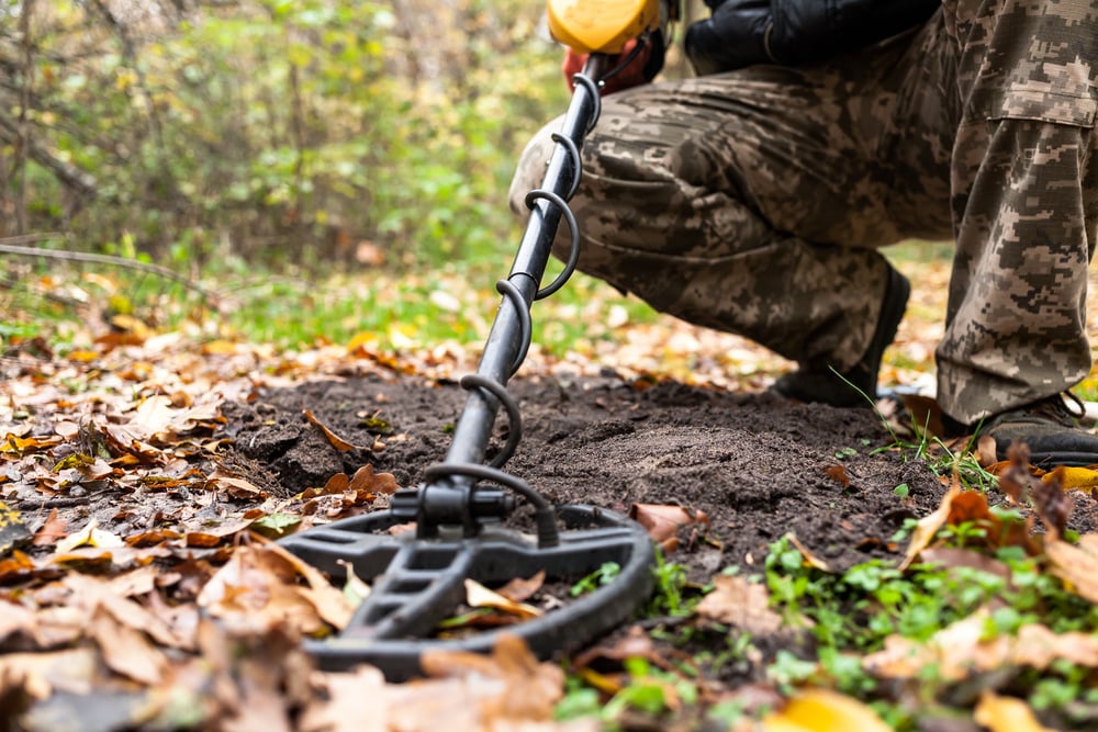 metal detector