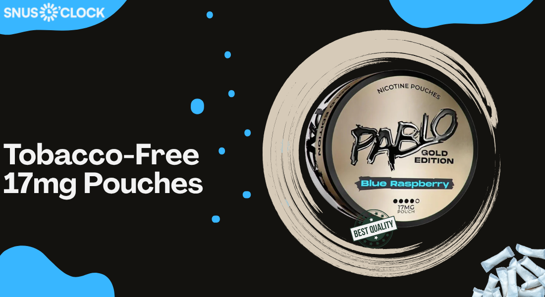 tobacco-free 17mg pouches