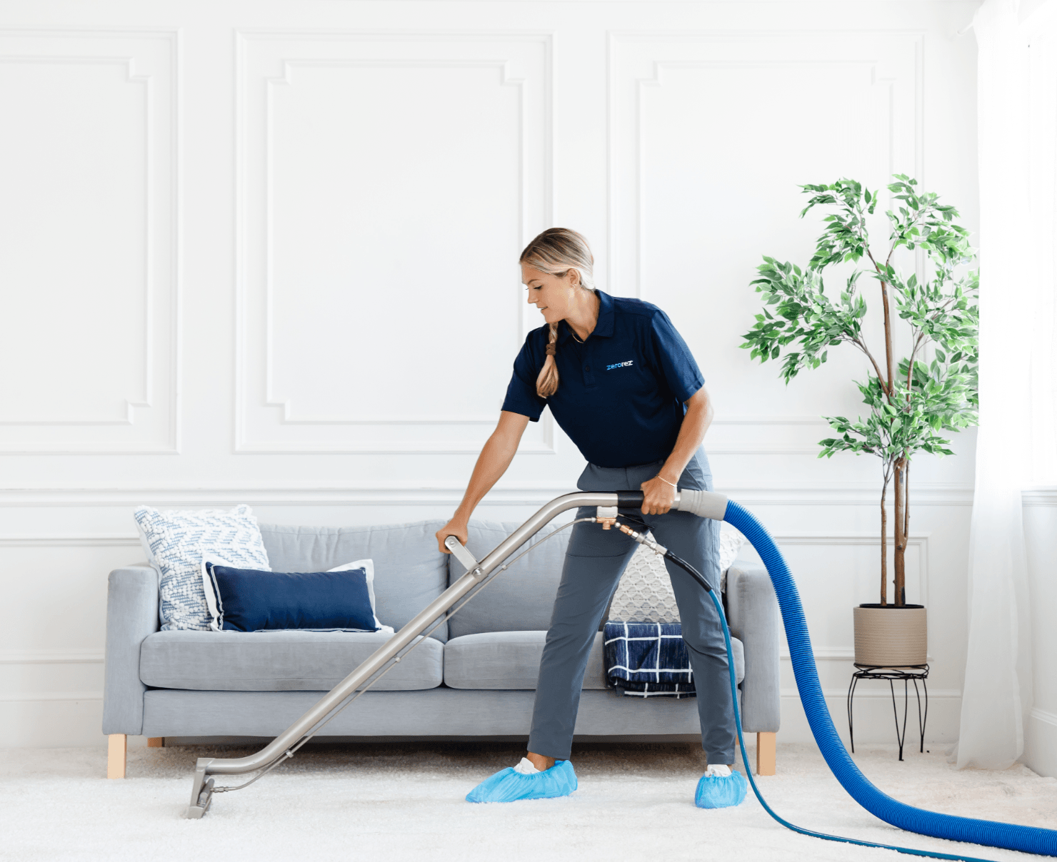 Carpet cleaning cleveland